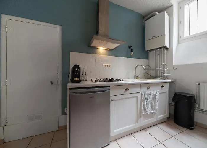 דירה Le Cocon - Cocooning Avec Terrasse - Rue Des Gras קלרמונט-פרנד